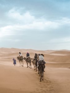 Camel Excursion